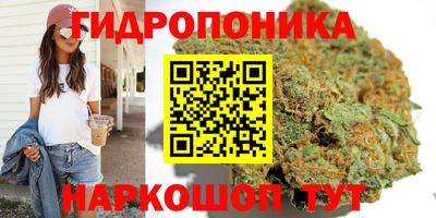 гидропоника Бугуруслан