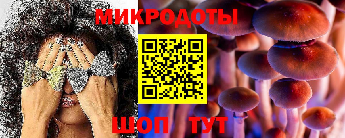 Псилоцибиновые грибы Psilocybine cubensis Рославль